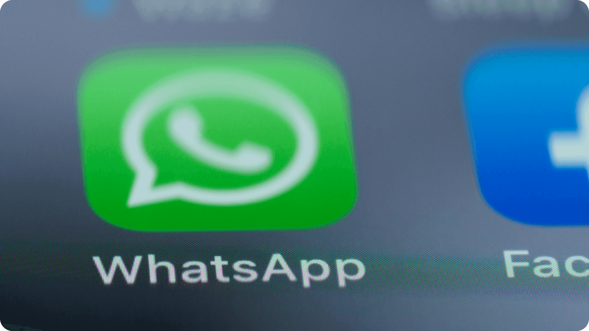 Integrar Whatsapp ao ERP